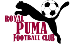 Royal Puma
